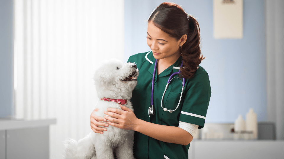 rabies vaccine manchester