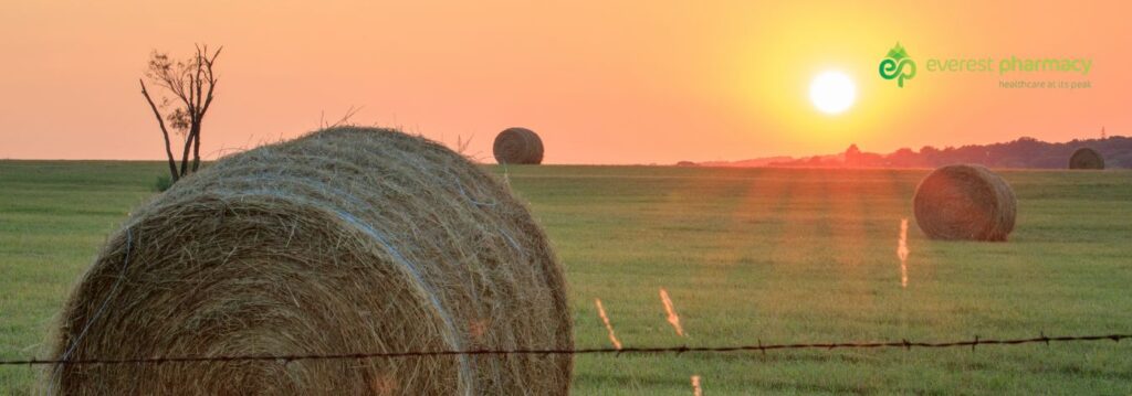 Bale of hay illustrating hayfever